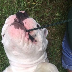 Meet your Posher, Lillian